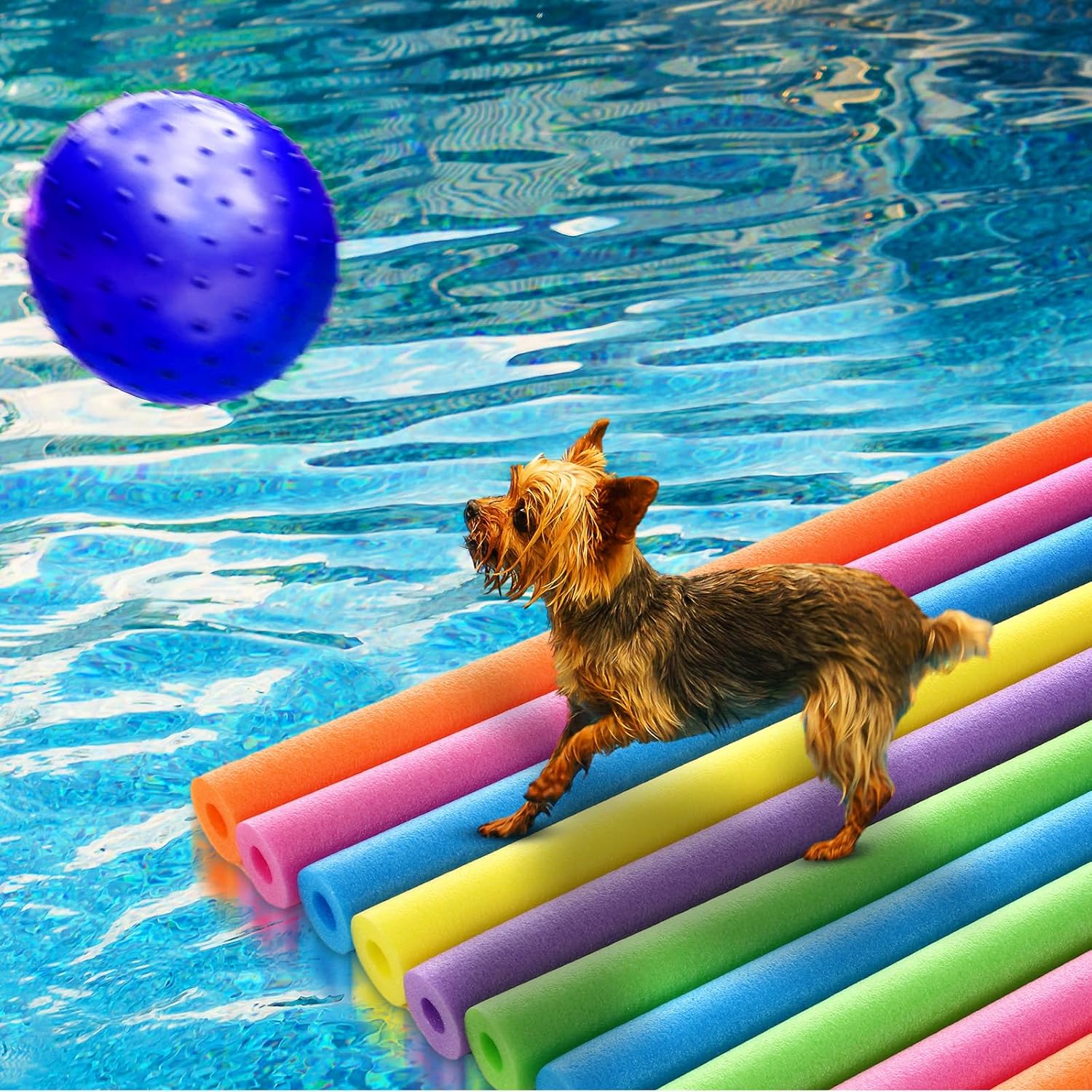 ชุดโฟมลอยน้ำสำหรับสระว่ายน้ำ 1 - Foam Pool Noodle บทวิจารณ์และราคา